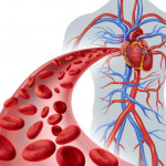 Limpia tus ARTERIAS y SISTEMA SANGUINEO > Healthy Food Tips > Tips para tu salud