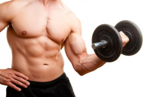 Como entrenar para ganar mas músculo > Healthy Food Tips > Tips para tu salud