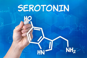 Mejora tu estado de animo (SEROTONINA) > Healthy Food Tips > Tips para tu salud